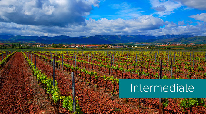 Rioja-intermediate.jpg